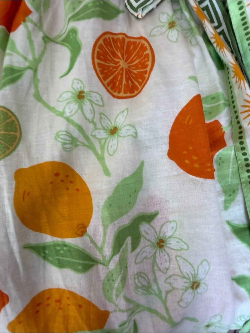 Rachel Zoe Maxi Skirt with Orange & Green Citrus Print